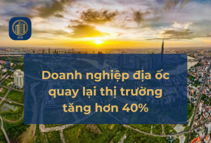 doanh-nghiep-dia-oc-quay-lai-thi-truong-10012025