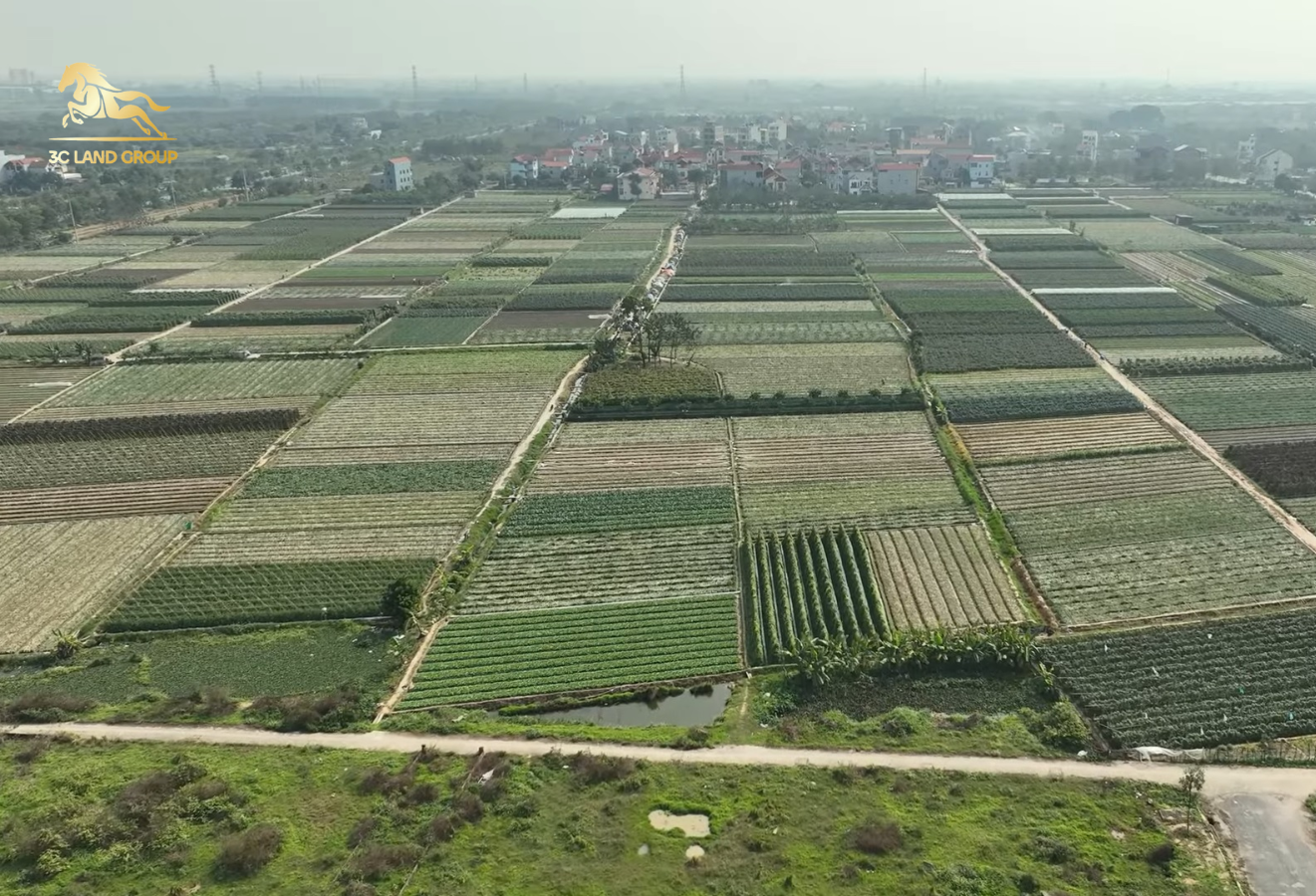Nhiều diện tích đất nông nghiệp hiên nay đã được thay đổi mục đích sử dụng.