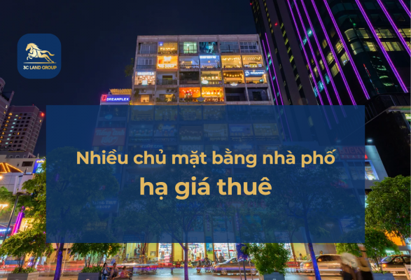 nhieu-chu-mat-bang-nha-pho-ha-gia-thue-11251302